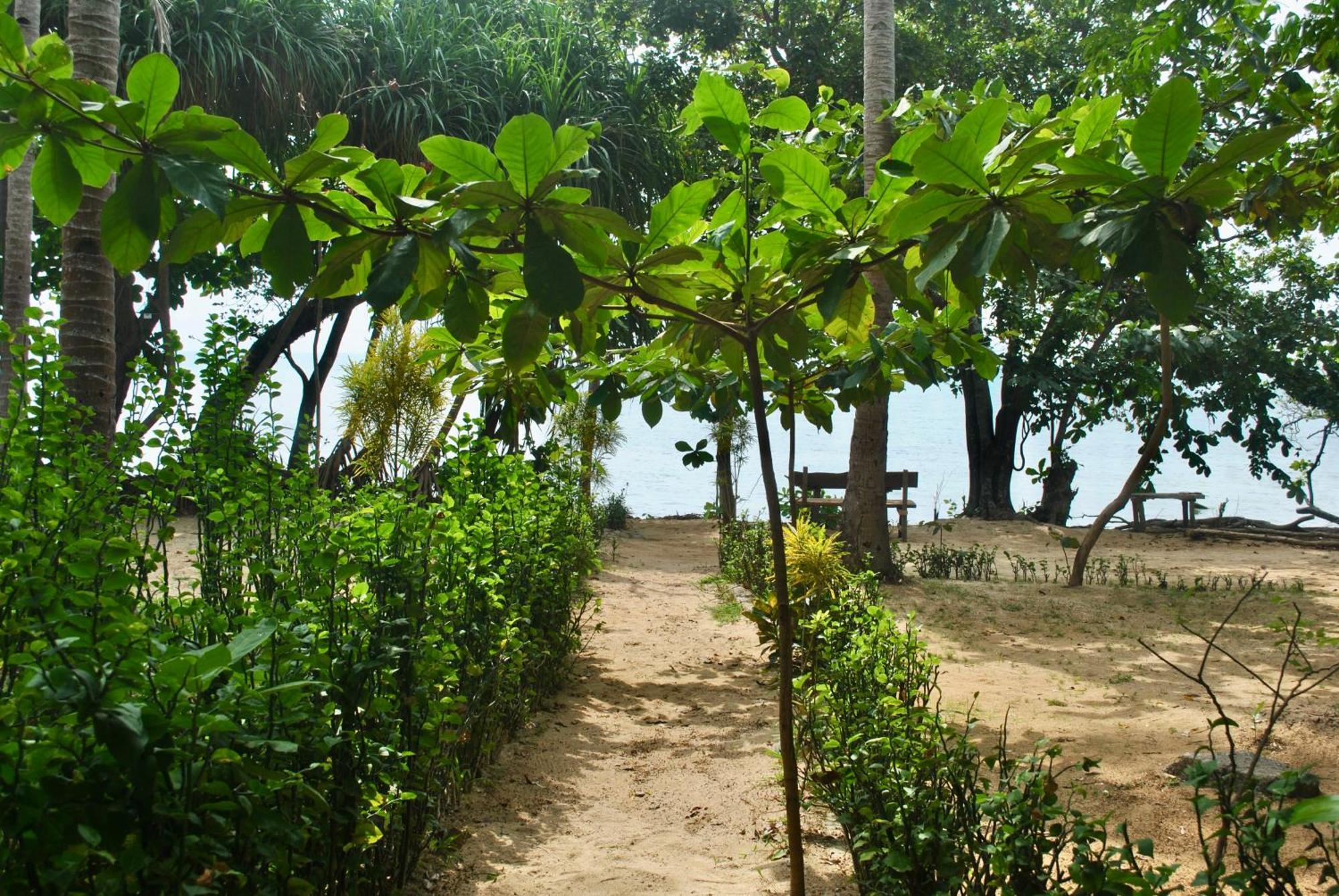 Alam Kita Hotel Karimunjawa Ngoại thất bức ảnh